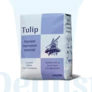 Tulip
